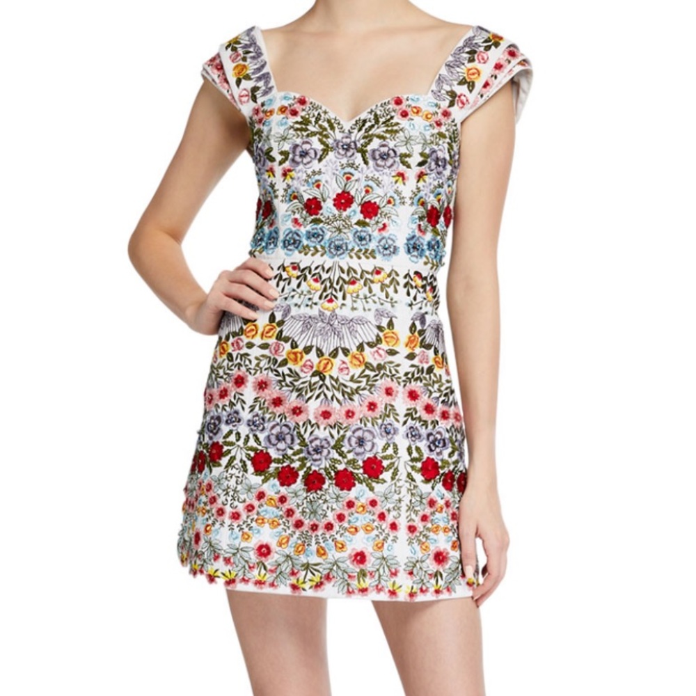 alice and olivia  multicolor dress